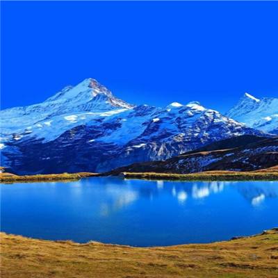 亚搏平台最新版app下载