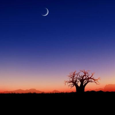 B sport官方下载入口