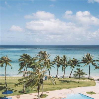 博鱼app官网下载